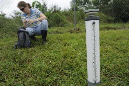 (101126) -- PANAMA CITY Nov. 26 2010 (Xinhua) -- Agua Salud Project manager Daniela Weber measures evaporation on the Panama Canal Watershed in Colon Province Panama Nov. 24 2010. The Agua Salud Project jointly implemented by the Smithsonian ...