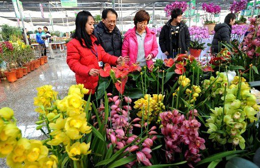 (110113) -- TIANJIN Jan. 13 2011 (Xinhua) -- Employees of a flower market make preparations for the annual flower fair in north China\
