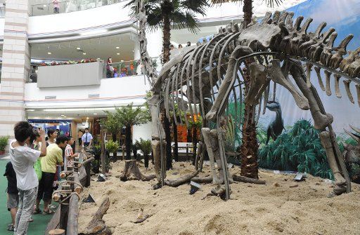 (110715) -- GUANGZHOU July 15 2011 (Xinhua) -- People surround a giant dinosaur fossil showcased in a shopping mall in Guangzhou capital of south China\