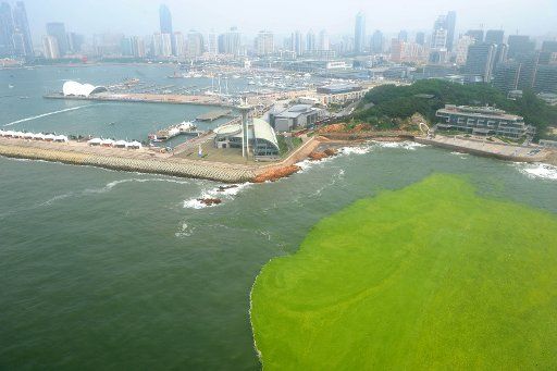 (110726) -- QINGDAO July 26 2011 (Xinhua) -- Photo taken on July 26 2011 shows the sea and the algae off the coastline of Qingdao east China\