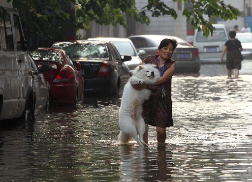 (110814) -- NANTONG Aug. 14 2011 (Xinhua) -- A woman holds her pet dog in arms to pass a flooded road in Nantong east China\
