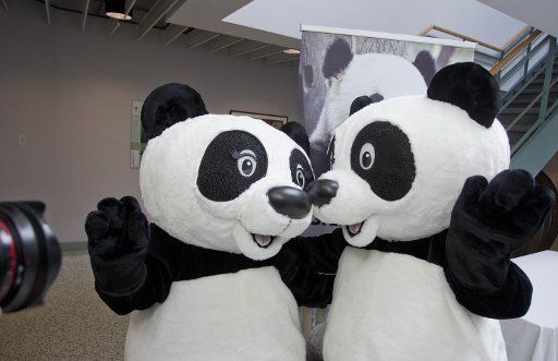 (121018) -- TORONTO, Oct. 18, 2012 (Xinhua) -- Two panda mascots pose for photos during the official launch ceremony of new Giant Panda House at Toronto Zoo in Toronto, Canada, Oct. 18, 2012. Gearing up for the arrival of a pair of giant pandas from ...