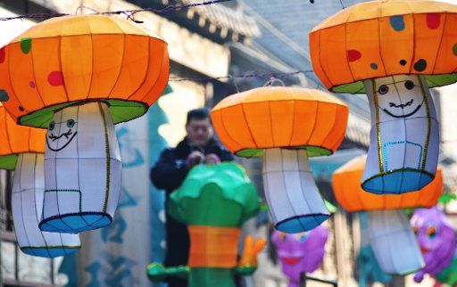 (130112) -- ZIBO, Jan. 12, 2013 (Xinhua) -- A worker displays lanterns to greet the upcoming Spring Festival, which falls on Feb. 10 this year, in Zhoucun, east China\
