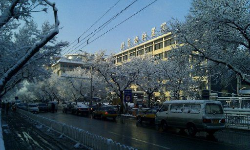 (130320) -- BEIJING, March 20, 2013 (Xinhua) -- Photo taken with a cell phone on March 20, 2013 shows tree branches covered with snow on Dongdan North Street in Beijing, capital of China. Beijing witnessed a snowfall with a depth reaching 10-17 ...