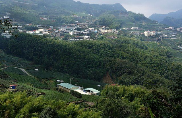 (130729) -- CHIAYI, July 29, 2013 (Xinhua) -- Photo taken on July 29, 2013 shows the scenery viewed from Xiding in the Alishan scenic area in Chiayi, southeast China\