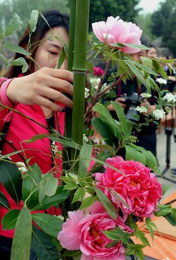 (140410) -- LUOYANG, April 10, 2014 (Xinhua) -- A contestant arranges peony flowers at an arboretum in Luoyang City, central China\