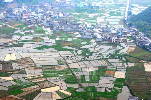 (140503) -- HECHI, May 3, 2014 (Xinhua) -- This bird eye view shows the scenery of paddy fields in Dongmen Township, Luocheng Mulam Autonomous County, south China\