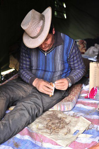 (140613) -- LHASA, June 13, 2014 (Xinhua) -- A dealer cleans caterpillar fungi in Medro Gongkar County, southwest China\