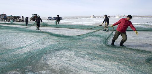 (150128) -- CHIFENG, Jan. 28, 2015 (Xinhua) -- Fishermen pull net on the Dali Nur lake in Hexigten Qi of Chifeng City, north China\