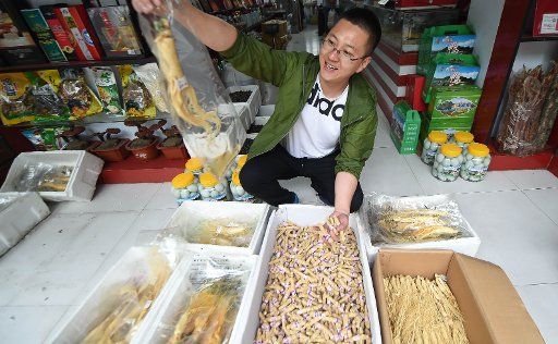 (150613) -- CHANGCHUN, June 13, 2015 (Xinhua) -- Sun Hui, a dealer, shows ginseng-related products in Ji\