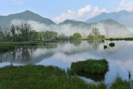 (150714) -- SHENNONGJIA, July 14, 2015 (Xinhua) -- Photo taken on July 13, 2015 shows a view of the Dajiuhu National Wetland Park in Shennongjia in central China\