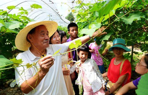 (150718) -- FUZHOU, July 18, 2015 (Xinhua) -- Agricultural expert Zheng Mingxi (L) introduces grape planting technique to students and parents during a summer vacation program in Fuzhou, capital city of southeast China\