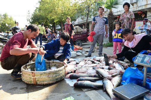 (151018) -- HEFEI, Oct. 18, 2015 (Xinhua) -- People buy fish at a market in Chaohu city, east China\