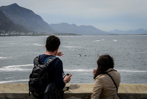 (151002) -- HERMANUS (SOUTH AFRICA), Oct. 2, 2015 (Xinhua) -- Visitors look at a southern right whale during the Hermanus Whale Festival in Hermanus, South Africa, on Oct. 2, 2015. The annual Hermanus Whale Festival kicked off here Friday, ...