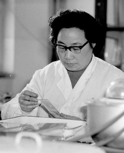 (151005) -- BEIJING, Oct. 5, 2015 (Xinhua) -- Undated file photo shows Tu Youyou, a pharmacologist with the China Academy of Chinese Medical Sciences, working to make artemisinin, a drug therapy for malaria, in 1980s. China\