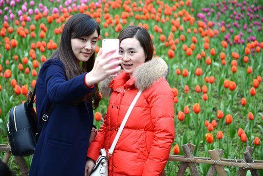 (160224) -- CHONGQING, Feb. 24, 2016 (Xinhua) -- Visitors take a selfie at a flower park in Yubei District under Chongqing, southwest China, Feb. 24, 2016. (Xinhua\/Zhong Guilin) (yxb)
