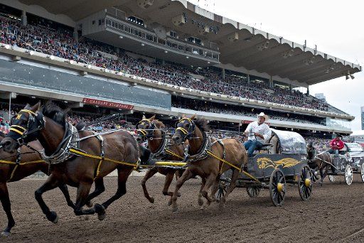 (160715) -- CALGARY, July 15, 2016 (Xinhua) -- Drivers race their wagons during the Chuckwagon event of the Calgary Stampede Rodeo in Calgary, Canada, July 14, 2016. (Xinhua\/Andrew Soong)