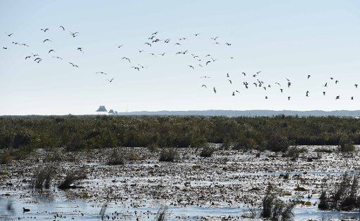 (160929) -- JIXI, Sept. 29, 2016 (Xinhua) -- Waterfowls fly above the wetland near Xingkai Lake, border lake between China and Russia, in northeast China\