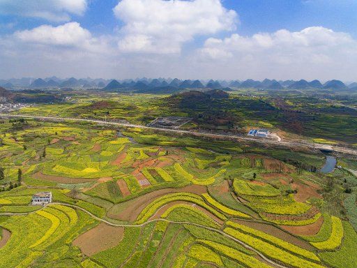 (170322) -- ANSHUN, March 22, 2017 (Xinhua) -- Aerial photo taken on March 22, 2017 shows cole flowers in the fields in rural Anshun City, southwest China\