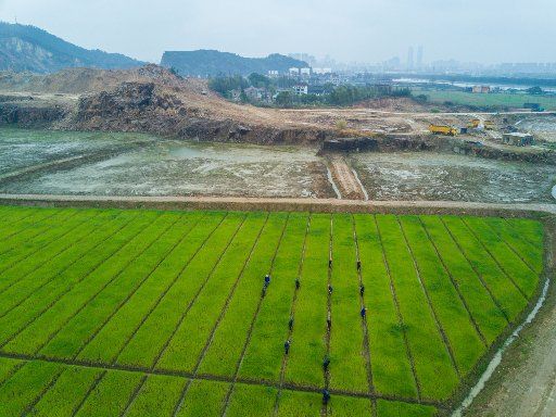 (170322) -- HUZHOU, March 22, 2017 (Xinhua) -- Farmers clean and enhance the channels in a farm in Daochang Township of Huzhou, east China\