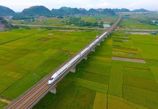(170707) -- GUIGANG, July 7, 2017 (Xinhua) -- Photo taken on July 7, 2017 shows a bullet train running through paddy fields in Guigang, south China\