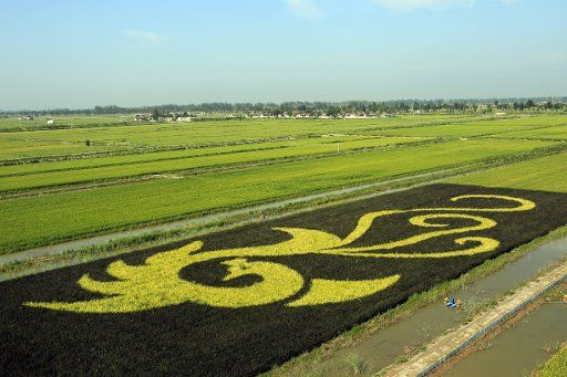 (170816) -- HELAN, Aug. 16, 2017 (Xinhua) -- A pattern is seen in a rice field in Sishilidian Village of Changxin Town, Helan County of northwest China\