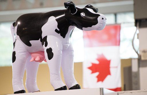 (170819) -- TORONTO (CANADA), Aug. 19, 2017 (Xinhua) -- An inflatable milk cow is seen at Canadian National Exhibition in Toronto, Canada, on Aug. 18, 2017. The United States opened the 23-year-old North American Free Trade Agreement (NAFTA) ...