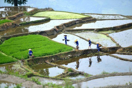 (180616) -- LONGSHENG, June 16, 2018 (Xinhua) -- Farmers work in terraced fields in Sishui Village of Longsheng County, south China\