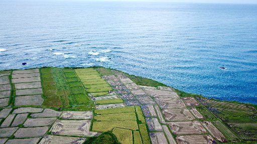 (180819) -- HUALIEN, Aug. 19, 2018 (Xinhua) -- In this aerial photo taken on July 20, 2018, patches of paddy fields are juxtaposed with the Pacific coastline of Hualien, southeast China\