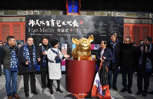 (190106) -- BEIJING, Jan. 6, 2019 (Xinhua) -- Han Meilin\