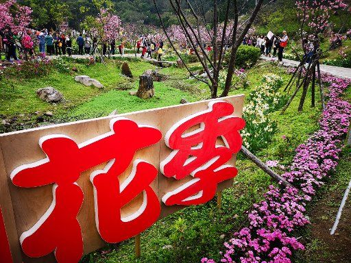 (190227) -- TAIPEI, Feb. 27, 2019 (Xinhua) -- Photo taken by cellphone on Feb. 27, 2019 shows tourists enjoying the scenery of Yangming Mountain Park in Taipei, southeast China\