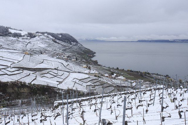 (190405) -- LAVAUX, April 5, 2019 (Xinhua) -- Photo taken on April 4, 2019 shows a snow view of vineyards in Lavaux, Switzerland. The Lavaux vineyard terrace was inscribed on the UNESCO world heritage list in 2007. (Xinhua\/Xu Jinquan