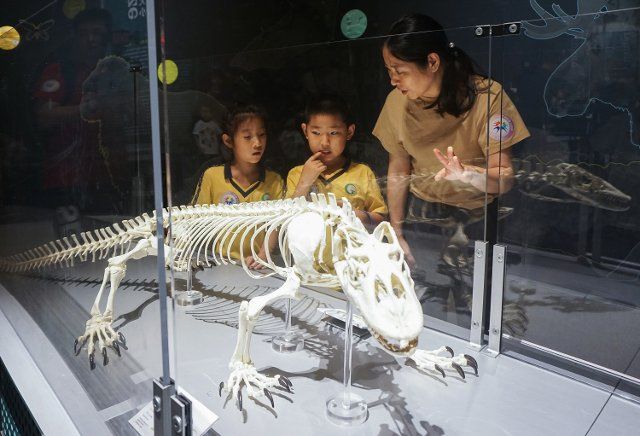 (190525) -- GUANGZHOU, May 25, 2019 (Xinhua) -- Visitors tour an evening dinosaur exhibition held as part of the 2019 Guangzhou Science and Technology Week at Guangdong Science Center in Guangzhou, south China\