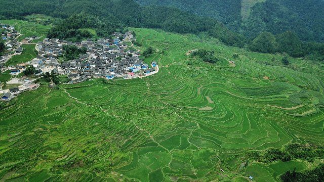 (190701) -- DANZHAI, July 1, 2019 (Xinhua) -- Aerial photo taken on July 1, 2019 shows a scenery of the Gaoyao terraced fields in Longquan Township of Danzhai County, southwest China\