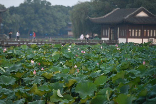 (190722) -- HANGZHOU, July 22, 2019 (Xinhua) -- Tourists visit the West Lake in Hangzhou, east China\