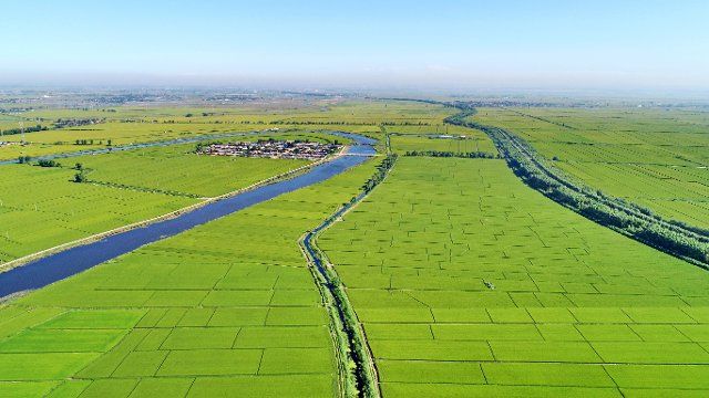 (190826) -- SHIJIAZHUANG, Aug. 26, 2019 (Xinhua) -- Aerial photo taken on Aug. 25, 2019 shows the paddy field in Tangshan, north China\