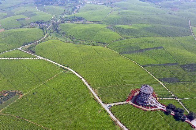 (200409) -- MEITAN, April 9, 2020 (Xinhua) -- Aerial photo taken on April 9, 2020 shows tea gardens in Yongxing Town, Meitan County, southwest China\