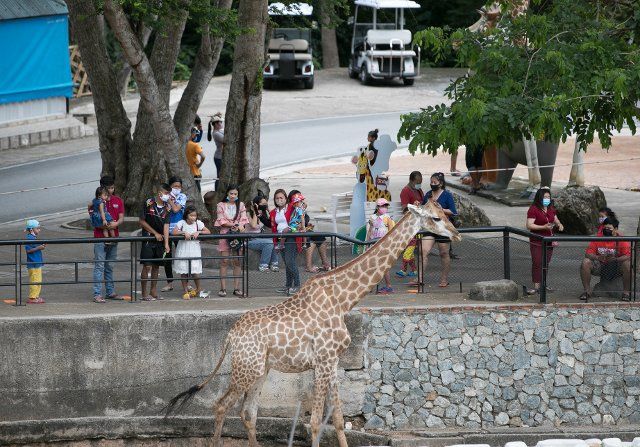 (200616) -- BANGKOK, June 16, 2020 (Xinhua) -- Tourists visit the Khao Kheow Open Zoo in Chonburi province in Thailand, June 16, 2020. Six zoos in Thailand will reopen for visitors free of charge from June 15 to 30. (Xinhua\/Zhang Keren