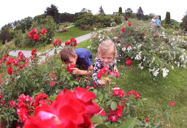 (200711) -- MINSK, July 11, 2020 (Xinhua) -- Children view the flowers at a botanical garden in Minsk, Belarus, July 11, 2020. (Photo by Henadz Zhinkov\/Xinhua