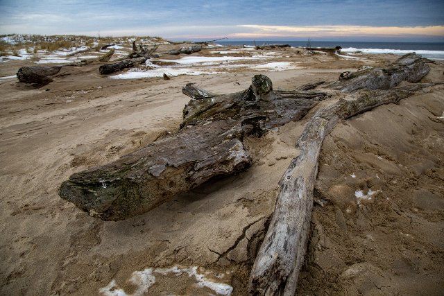 (210123) -- CARNIKAVA (LATVIA), Jan. 23, 2021 (Xinhua) -- Photo taken on Jan. 22, 2021 shows the winter scenery of Baltic Sea and a beach in Carnikava, Latvia. (Photo by Edijs Palens\/Xinhua