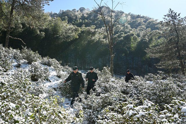 (210323) -- WUYISHAN, March 23, 2021 (Xinhua) -- Photo taken on Jan. 8, 2021 shows staffers patrolling the woods in Wuyishan National Park, southeast China\