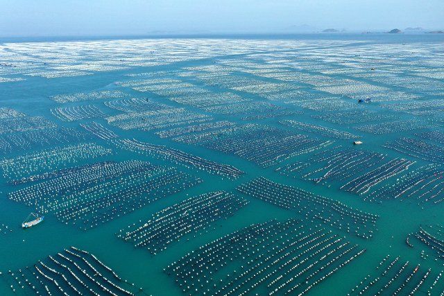 (210530) -- ZHOUSHAN, May 30, 2021 (Xinhua) -- Aerial photo taken on May 30, 2021 shows a mussel breeding base in Shengsi County of Zhoushan City, east China\