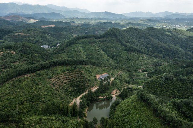 (210720) -- HANGZHOU, July 20, 2021 (Xinhua) -- Aerial photo taken on July 20, 2021 shows a view of a forest area in Shangyang Village of Taihuyuan Township in Hangzhou, capital of east China\