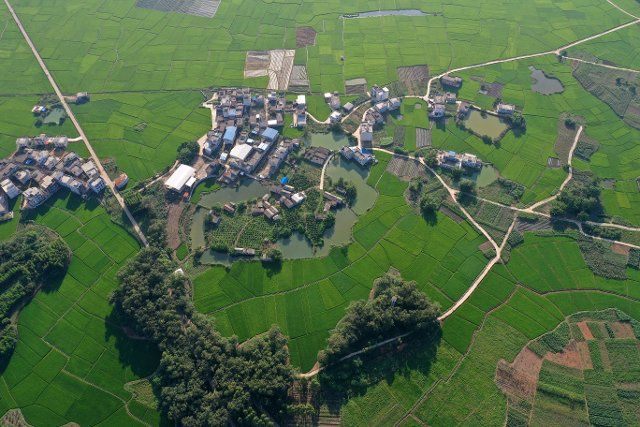 (210923) -- NANNING, Sept. 23, 2021 (Xinhua) -- Aerial photo taken on Sept. 23, 2021 shows fields in Guliao Village of Binyang County, south China\