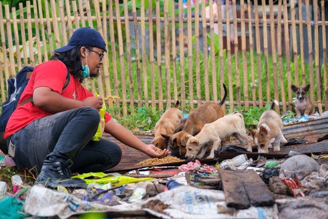(211120) -- PALANGKA RAYA, Nov. 20, 2021 (Xinhua) -- A volunteer feeds puppies at a residential area affected by flood in Mendawai village, Palangka Raya, Indonesia, Nov. 20, 2021. (Photo by Deny Krisbiyantoro\/Xinhua