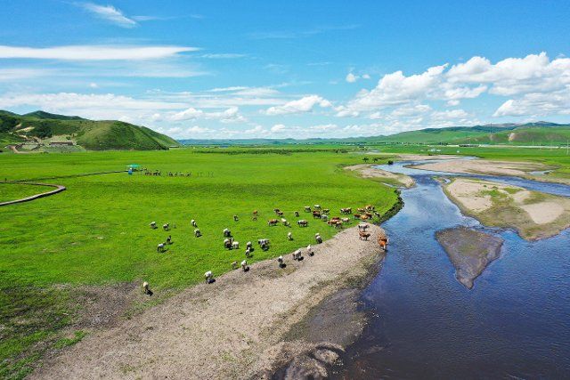 (220623) -- HINGGAN LEAGUE, June 23, 2022 (Xinhua) -- Aerial photo taken on June 23, 2022 shows a herd of cattle and horses foraging on the Ulan Mod grassland in Horqin Right Wing Front Banner of Hinggan League, north China\