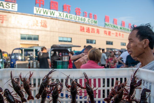 (220625) -- QIANJIANG, June 25, 2022 (Xinhua) -- A crayfish breeder sells crayfishes at a crayfish trading center in Qianjiang, central China\