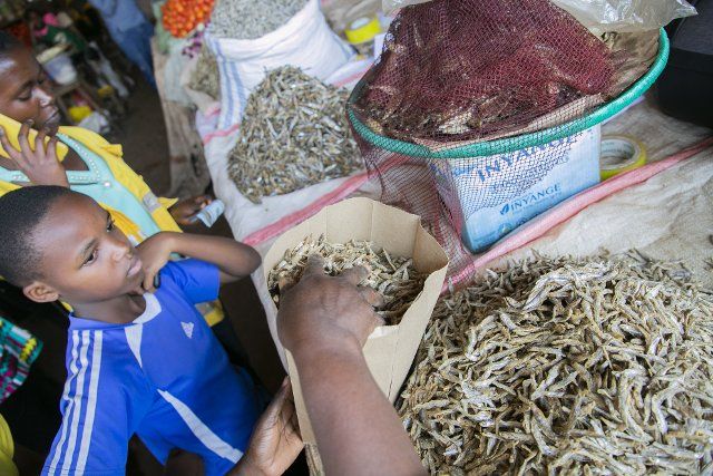 (220808) -- KIGALI, Aug. 8, 2022 (Xinhua) -- A vendor packs dried fish with a paper bag at Kimironko market in Kigali, Rwanda, July 14, 2022. TO GO WITH "Feature: Rwanda makes strides in plastic ban" (Photo by Cyril Ndegeya\/Xinhua