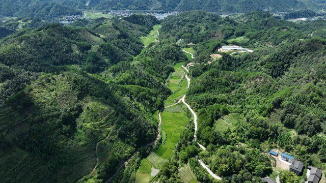 (220810) -- QIANDONGNAN, Aug. 10, 2022 (Xinhua) -- Aerial photo taken on Aug. 10, 2022 shows a fruit planting base in Banxi Village of Tonglin Town in Qiandongnan Miao and Dong Autonomous Prefecture, southwest China\