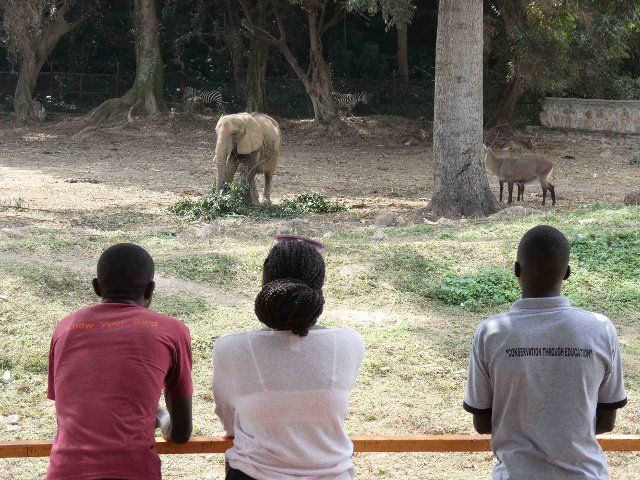 (220812) -- ENTEBBE, Aug. 12, 2022 (Xinhua) -- Visitors look at an elephant in a sanctuary at Uganda Wildlife Education Conservation Centre in Entebbe, Uganda, Aug. 12, 2022. World Elephant Day falls on Aug. 12. (Photo by Nicholas Kajoba\/Xinhua